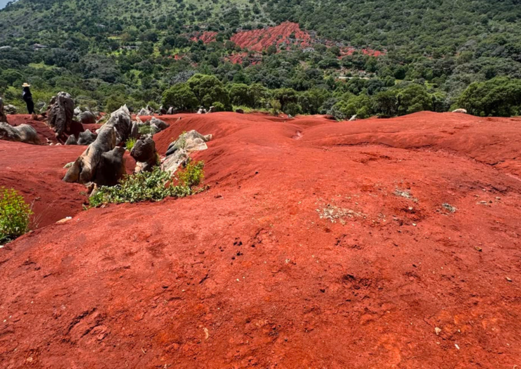 ZIMAPAN + DUNAS ROJAS DE PACULA