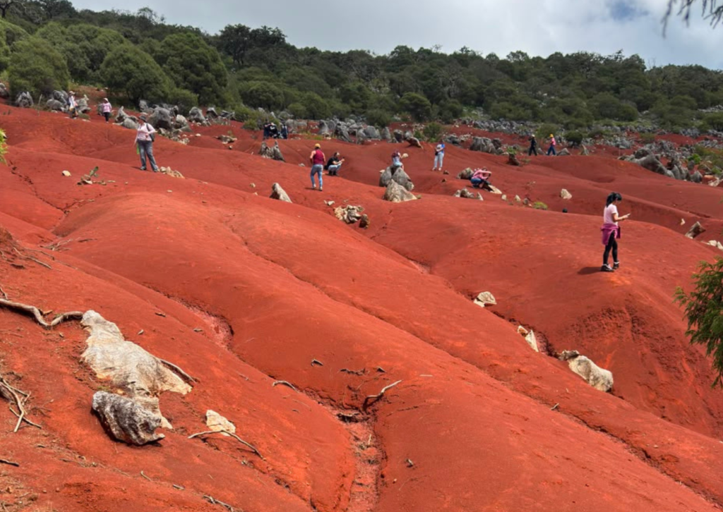 ZIMAPAN + DUNAS ROJAS DE PACULA