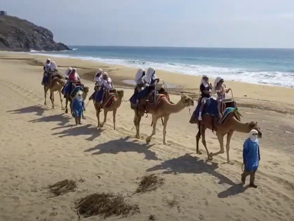 AVISTAMIENTO DE BALLENAS 2027