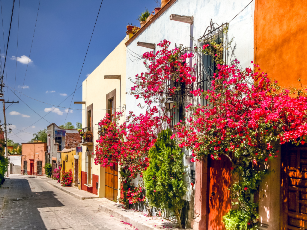 FULL SAN MIGUEL DE ALLENDE