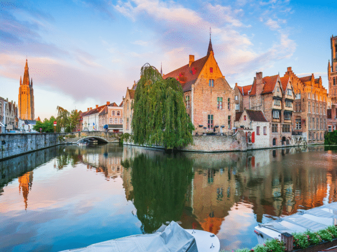 FOTOS PARA PAGINA – 2025-10-30T151309.550