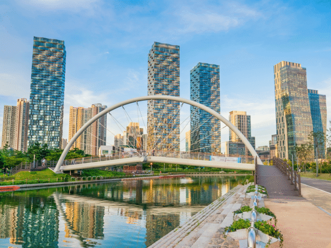 FOTOS PARA PAGINA – 2025-10-31T165655.436