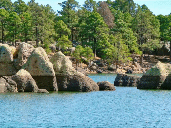 FOTOS PARA PAGINA – 2025-12-02T124554.849