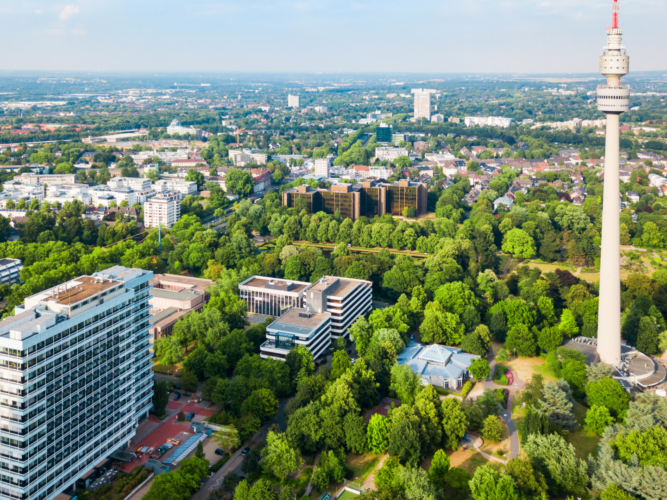 FOTOS PARA PAGINA – 2025-12-16T093214.819