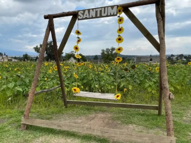 FOTOS PARA PAGINA – 2026-03-31T124822.434